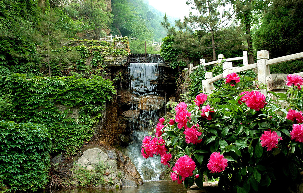 養(yǎng)生旅游度假區(qū)文化景觀設(shè)計(jì)圖片