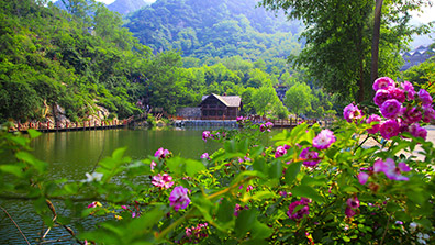 森林公園植物景觀設(shè)計(jì)的優(yōu)化措施